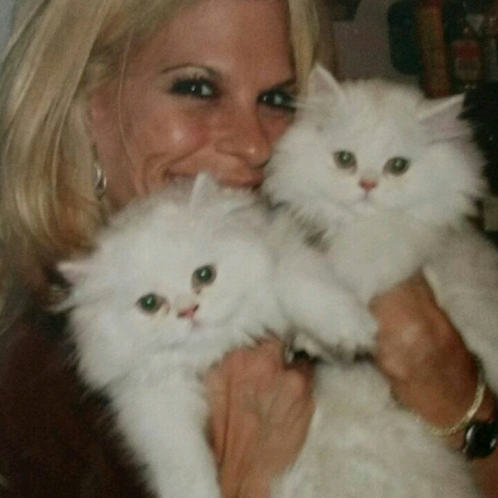 Meet your Posher, Justine